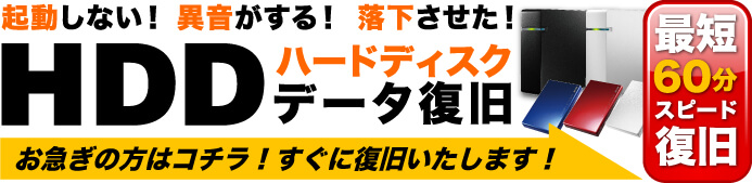 ハードディスクからのデータ復旧画像